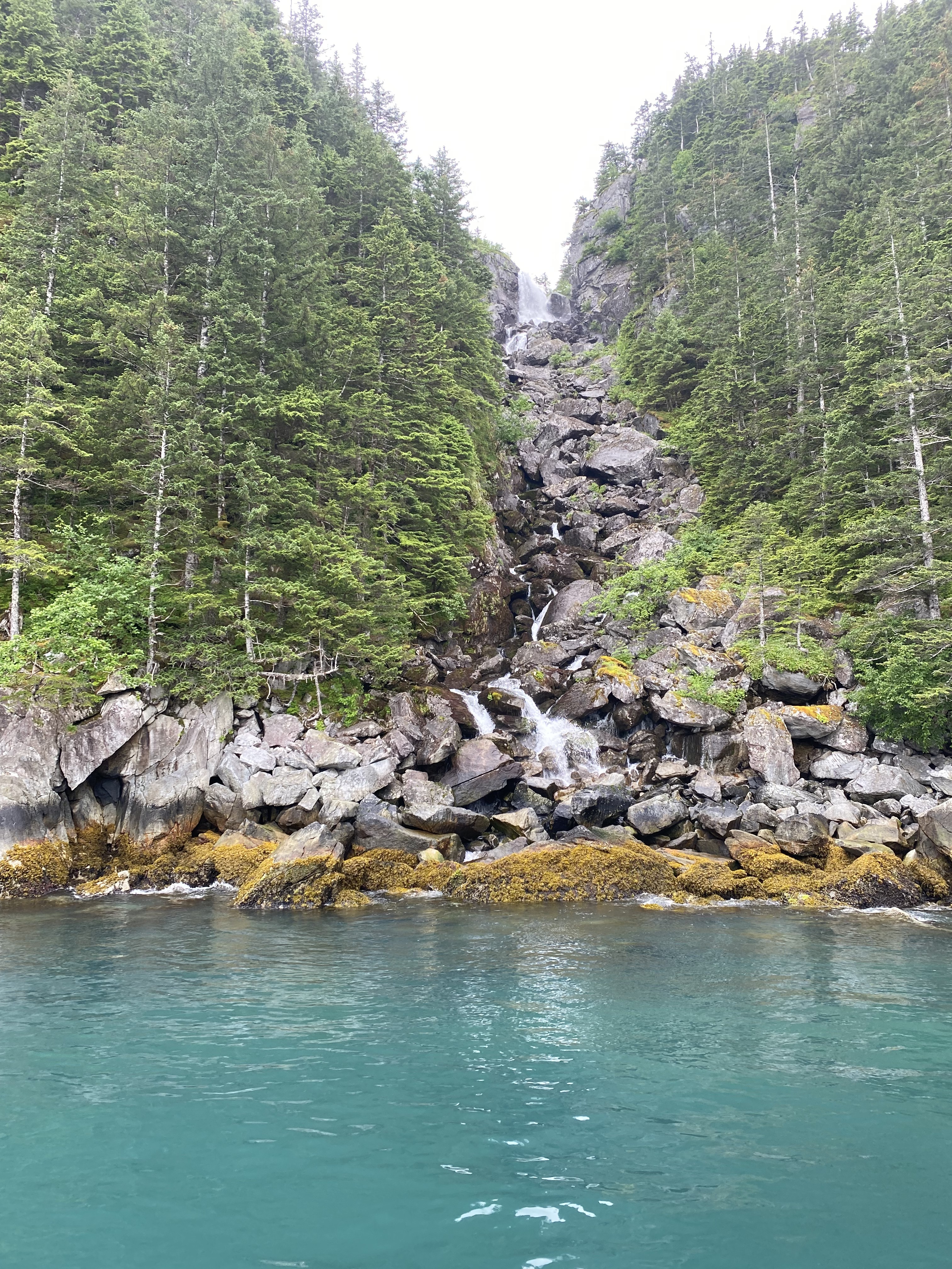 Kenai Fjords