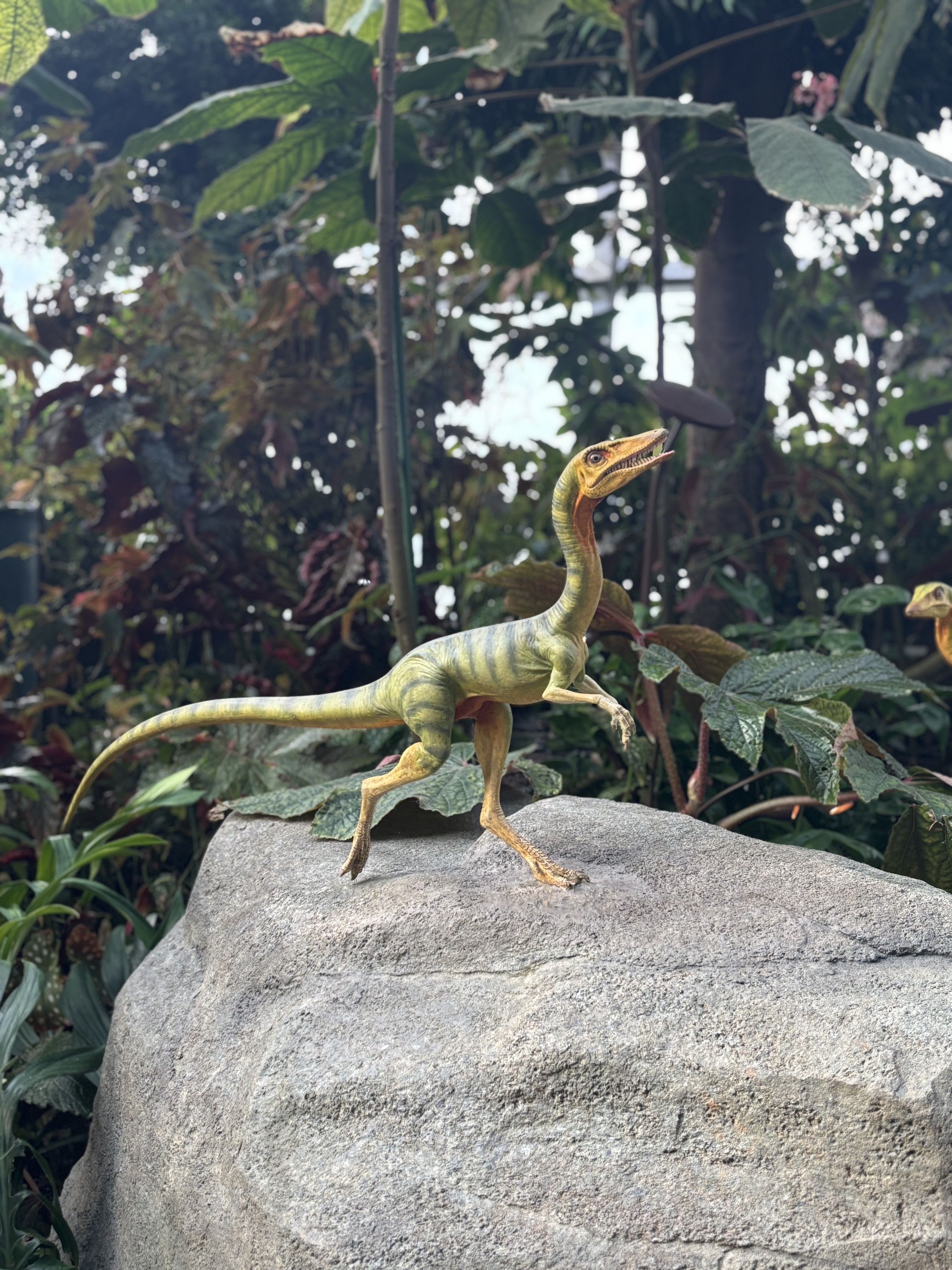 Dinosaur model