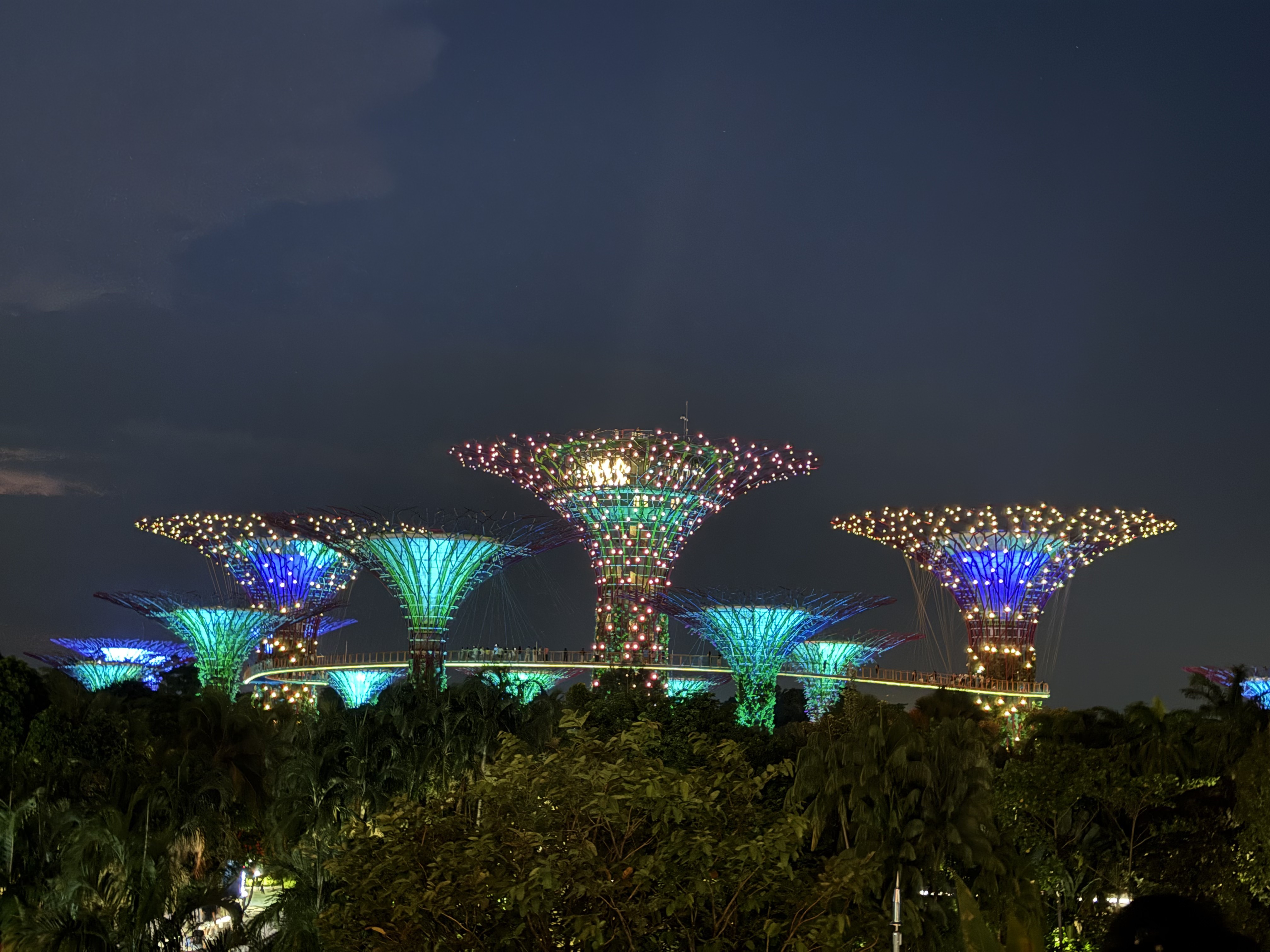 Supertree Grove